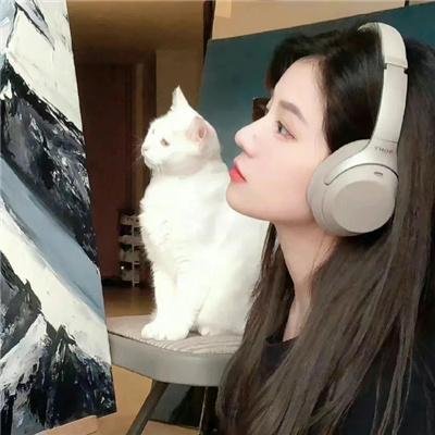 爱情理论特别篇